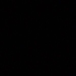 Meet your Posher, Tesia